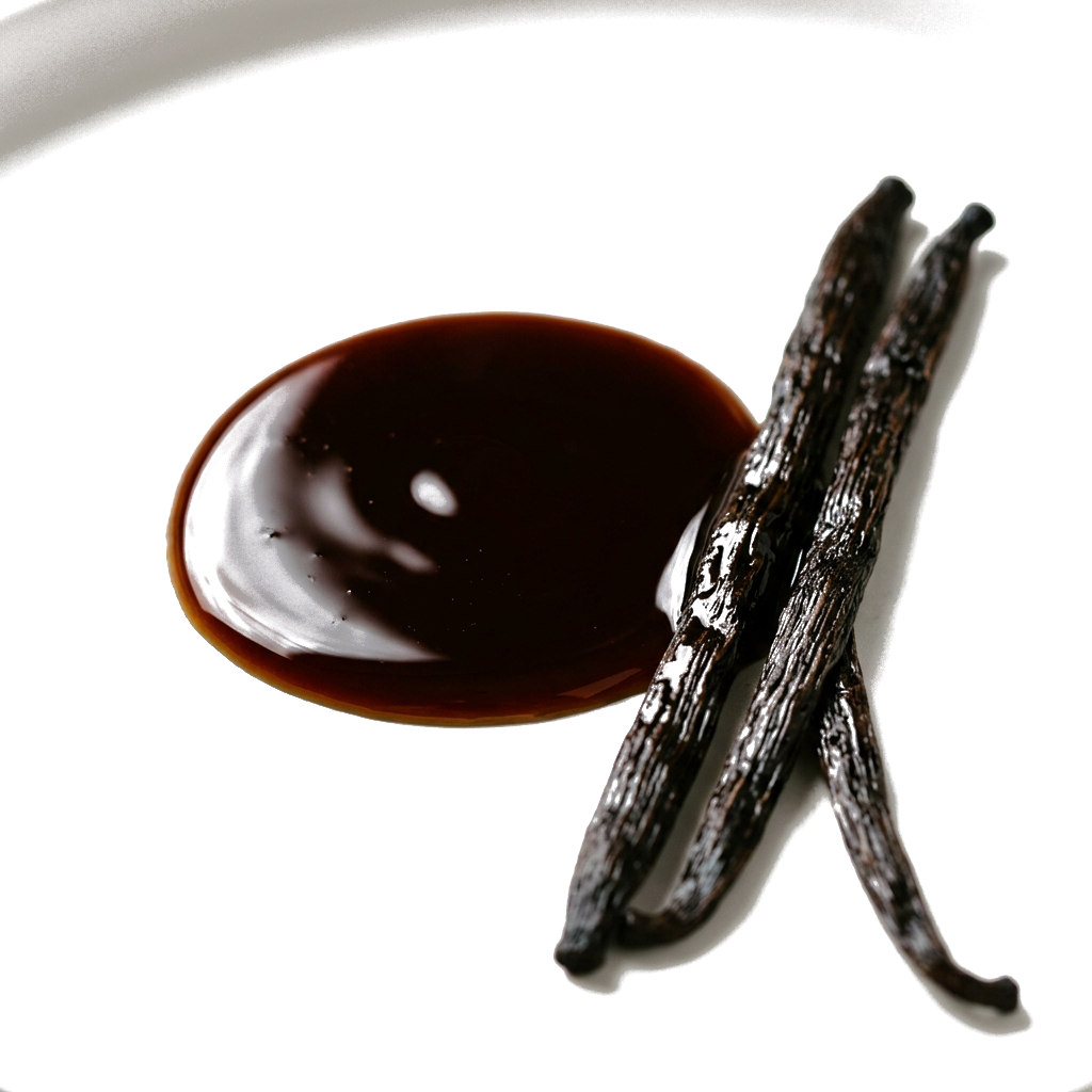 extrato baunilha (fundo removido)